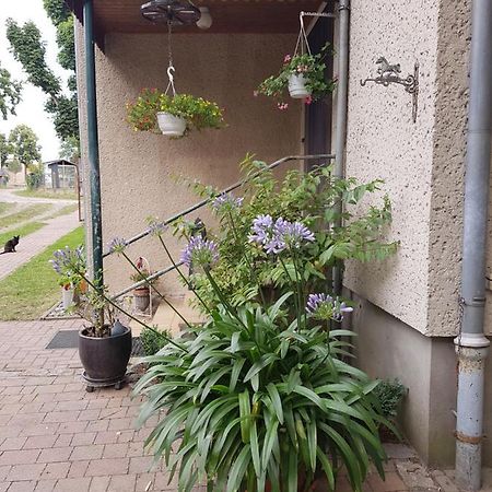 Ferienwohnung Siebmann نيوروبين المظهر الخارجي الصورة
