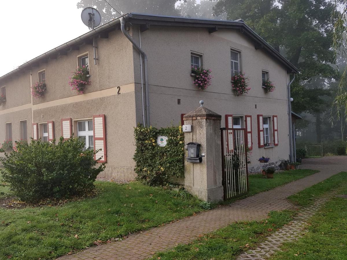 Ferienwohnung Siebmann نيوروبين المظهر الخارجي الصورة